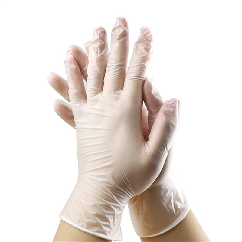 Vinyl Glove powder free  Medium transparent  1000 pcs